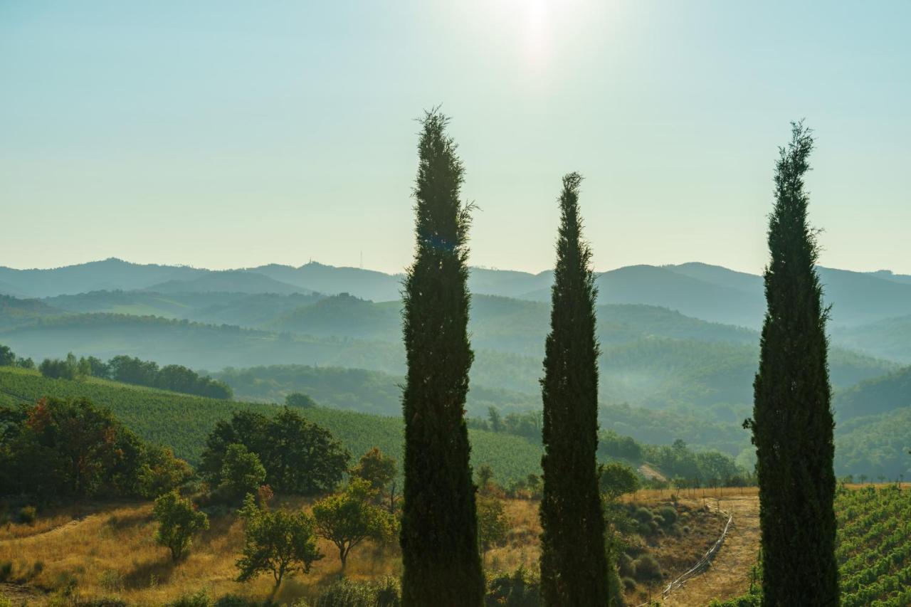 Celle Di Lecchi Nel Chianti Villa San Sano Dış mekan fotoğraf