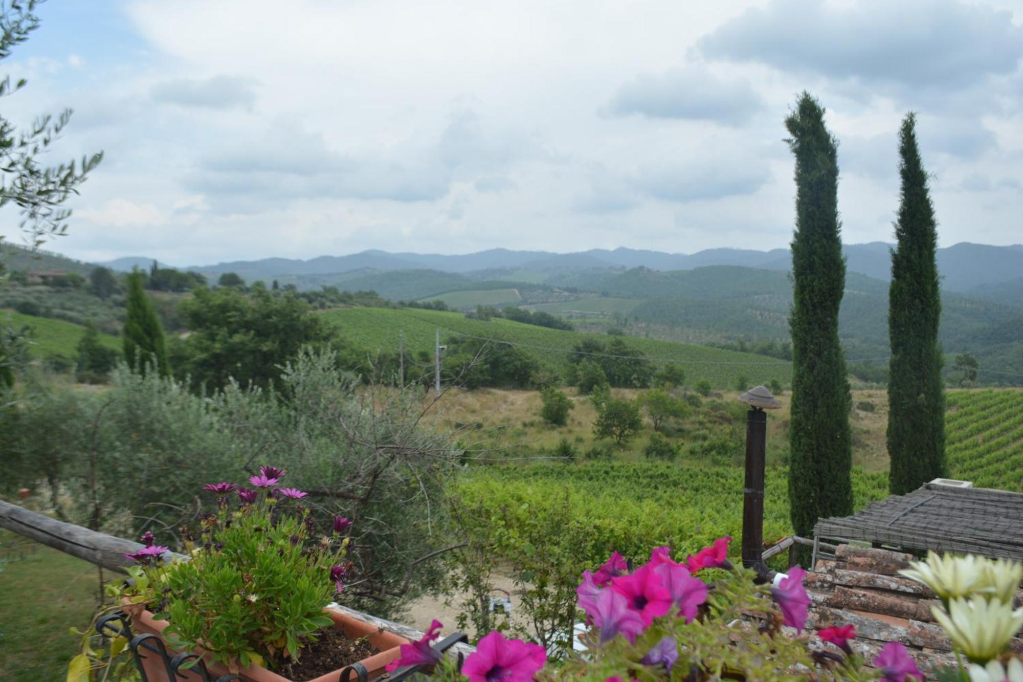 Celle Di Lecchi Nel Chianti Villa San Sano Dış mekan fotoğraf