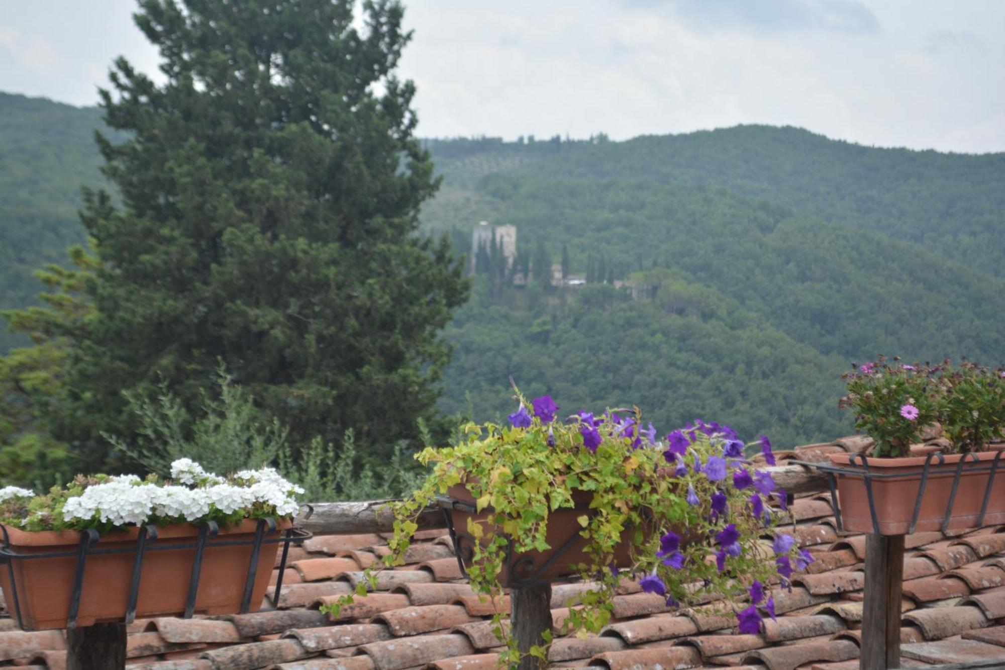 Celle Di Lecchi Nel Chianti Villa San Sano Dış mekan fotoğraf