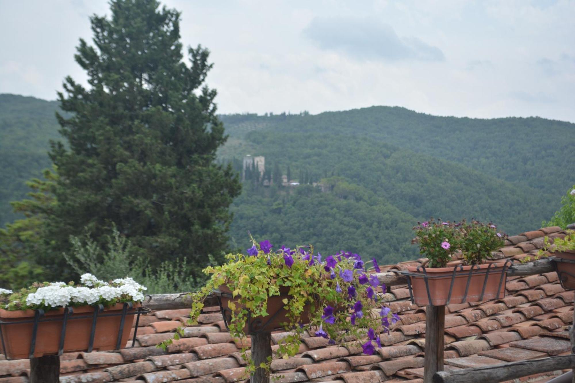 Celle Di Lecchi Nel Chianti Villa San Sano Dış mekan fotoğraf